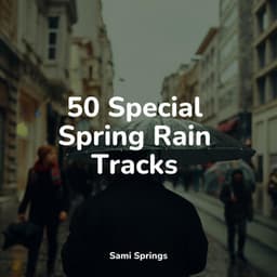 50 Special Spring Rain Tracks - Ambient Music Therpy