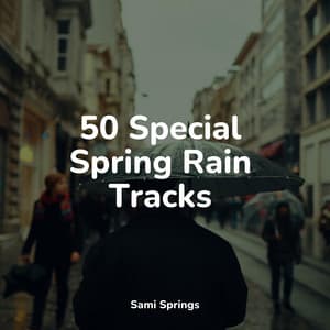 50 Special Spring Rain Tracks - Ambient Music Therpy