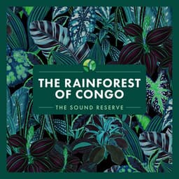 The Rainforest of Congo - The Sound Reserve