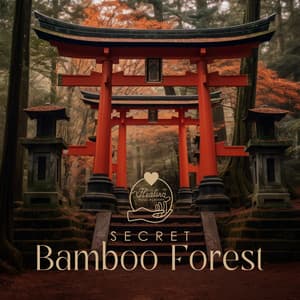 Secret Bamboo Forest: Japanese Sacred Ambiance, Mountain Sanctuary - Healing Music Academy