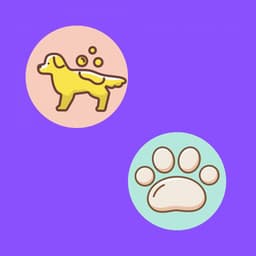 Music for Doggy Spirits - Jazz Quintet - Good Dog Music