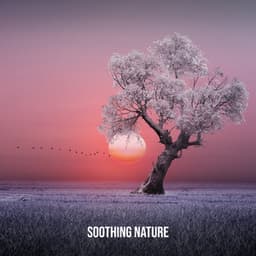Soothing Nature: Inner Harmony You Need, Clear Your Mind in a Natural Environment, Pure Life - Nature Sounds Paradise