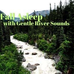 Fall Asleep with Gentle River Sounds - River Sleep Aid