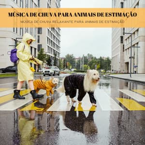 Música De Chuva Para Animais De Estimação: Música De Chuva Relaxante Para Animais De Estimação - Música para acalmar cachorro