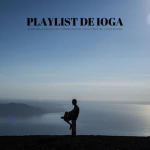 Playlist De Ioga: Sons Relaxantes De Correntes De Água Para Se Concentrar - Música de Relaxamento No Spa