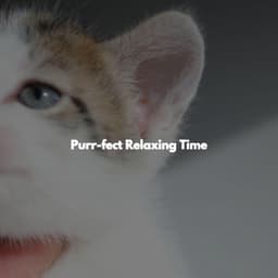 Purr-fect Relaxing Time - Musica para Restaurantes Ambiente