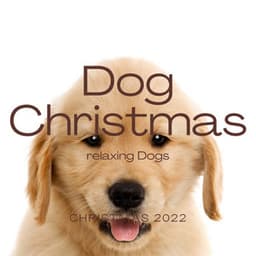 2022 Dog Christmas - Dog Music Waves