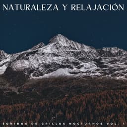Naturaleza Y Relajación: Sonidos De Grillos Nocturnos Vol. 1 - Fondo de naturaleza y sonidos