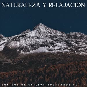 Naturaleza Y Relajación: Sonidos De Grillos Nocturnos Vol. 1 - Fondo de naturaleza y sonidos