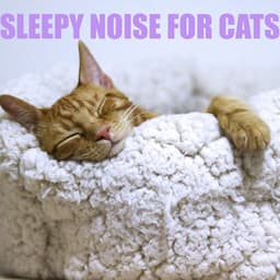 Sleepy Noise for Cats - Cat Music Jukebox