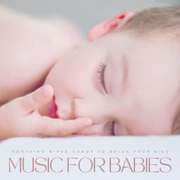Music For Babies: Soothing Birds Songs To Relax Your Kids - Grey Noise Baby Sleep