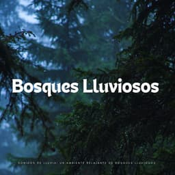 Sonidos De Lluvia: Un Ambiente Relajante De Bosques Lluviosos - Lluvia
