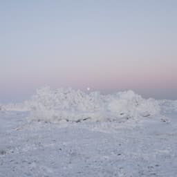 Terror Management - billy woods