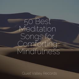 50 Best Meditation Songs for Comforting Mindfulness - Water Spa