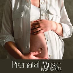 Prenatal Music for Babies - Peaceful Pregnancy Musical Kit