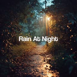 Rain At Night - Meditation Rain Sounds