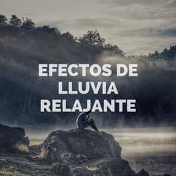 Efectos De Lluvia Relajante - Lluvia