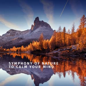 Symphony of Nature to Calm Your Mind - Stress Relief Helper