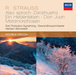 Strauss, R.: Also sprach Zarathustra; Ein Heldenleben; Don Juan; Metamorphosen - Richard Strauss