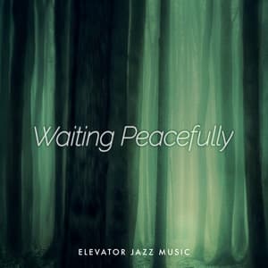 Waiting Peacefully - Elevator Jazz Music