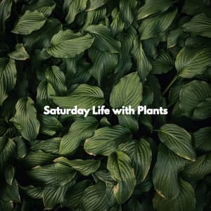 Saturday Life with Plants - Bossa Nova Project