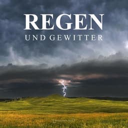 Regen und Gewitter - Regengeräusche Orchester von TraxLab