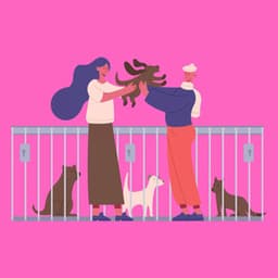 Quintet Jazz - Music for Your Perfect Pooch - Calma Música para Perros