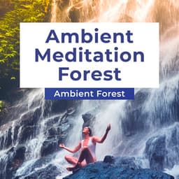 Ambient Meditation Forest - Ambient Forest