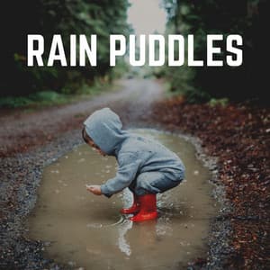 Rain Puddles - Recording Nature
