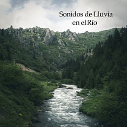 Sonidos de Lluvia en el Río - 7 Chakras