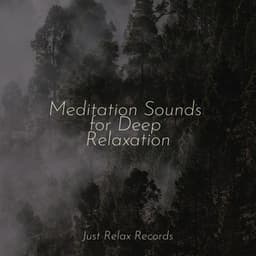 Meditation Sounds for Deep Relaxation - Relajación