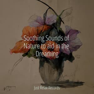 Soothing Sounds of Nature to aid in the Dreaming - Musica Reiki