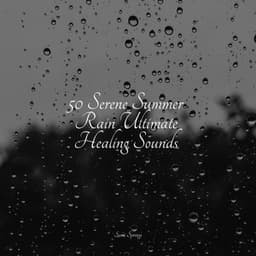 50 Serene Summer Rain Ultimate Healing Sounds - Deep Focus