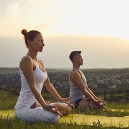 Nature Zen Dreams: Bird Song Meditations for Inner Harmony - The Nature Soundscapes