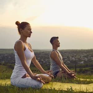 Nature Zen Dreams: Bird Song Meditations for Inner Harmony - The Nature Soundscapes