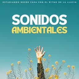 Sonidos Ambientales: Estudiando Desde Casa Con El Ritmo De La Lluvia - Ambiente De Lluvia