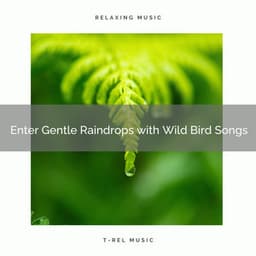 ! ! ! ! ! ! ! ! ! ! Enter Gentle Raindrops with Wild Bird Songs - Heavy Rain Sounds