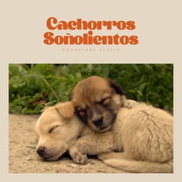 Cachorros Soñolientos - Buena Mañana