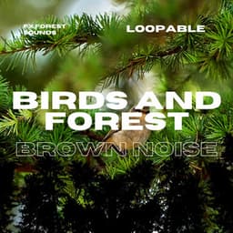 Birds and Forest Sounds for Relaxation with Brown Noise, Loopable - FX Forest Sounds