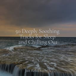 50 Deeply Soothing Tracks for Sleep and Chilling Out - Meditación Guiada