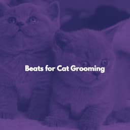 Beats for Cat Grooming - Cafe Bossa Nova Playlist