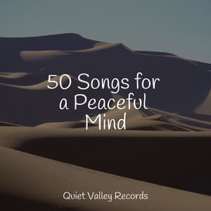 50 Songs for a Peaceful Mind - Mindfulness Meditation Universe