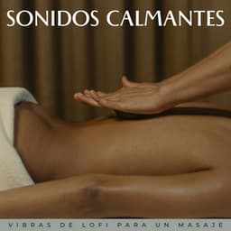 Sonidos Calmantes: Vibras De Lofi Para Un Masaje - Generar vibraciones