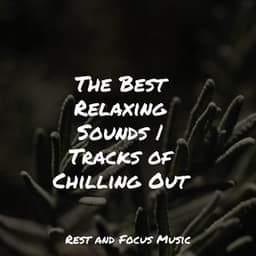 The Best Relaxing Sounds | Tracks of Chilling Out - Sleep Sound Library