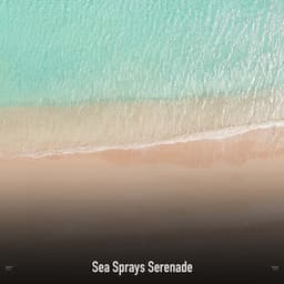 !!!!" Sea Sprays Serenade "!!!! - Ocean Waves
