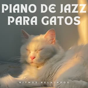 Piano De Jazz Para Gatos: Ritmos Relajados - Música de piano para momentos de tranquilidad
