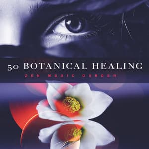 50 Botanical Healing - Zen Music Garden