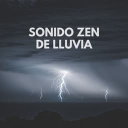 Sonido Zen De Lluvia - Clima Colmena