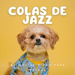 Colas De Jazz: Ritmos De Piano Para Perros - Música Canina para la Noche