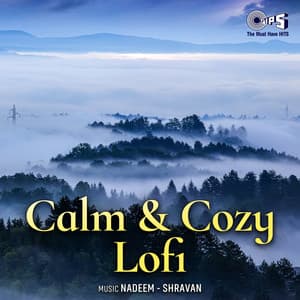 Calm & Cozy Lofi instrumental - Nadeem Shravan